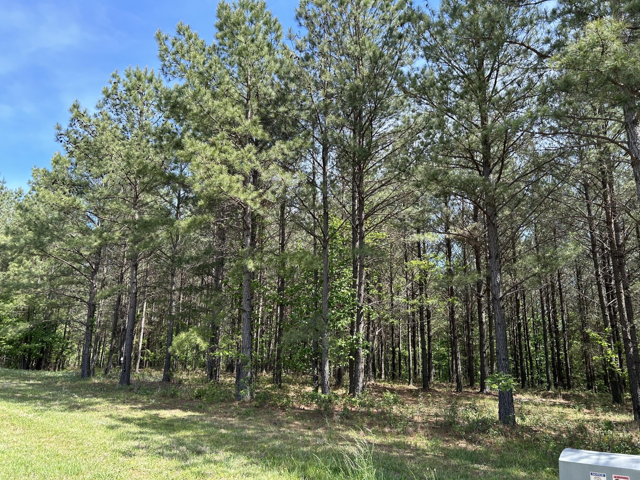 250 Bear Trace Drive Jasper TN 37347