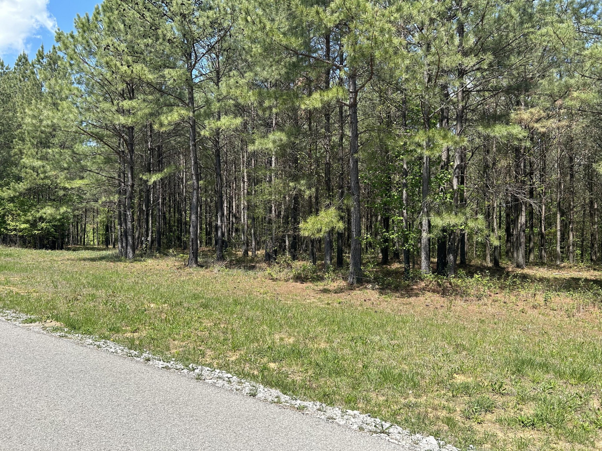 250 Bear Trace Drive Jasper TN 37347