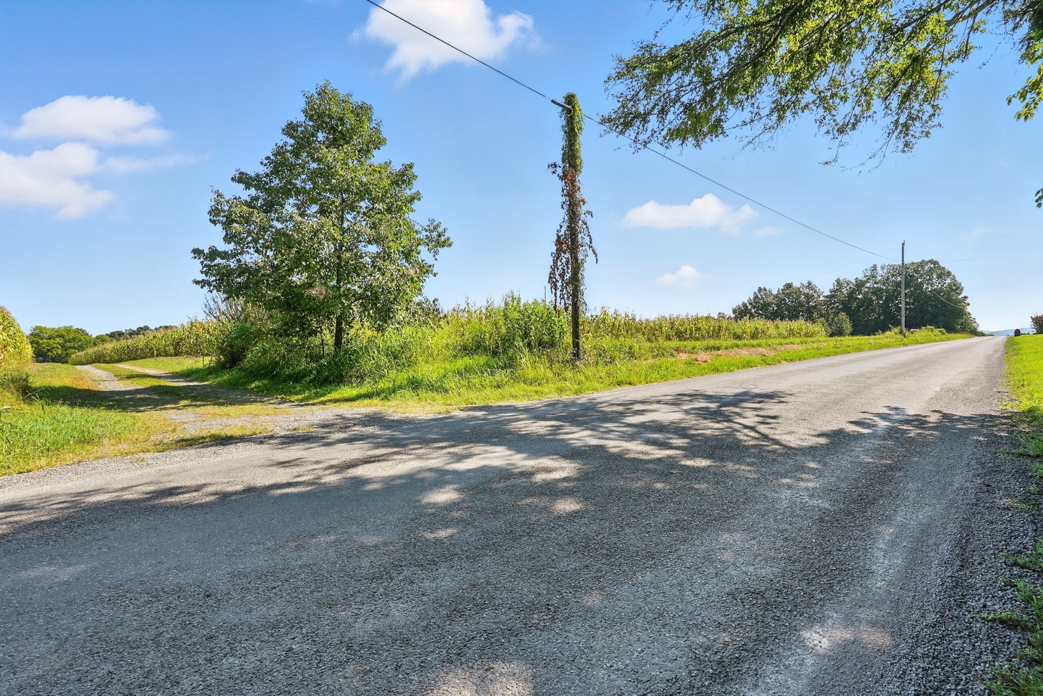 790 Squire Hall Road Bell Buckle TN 37020