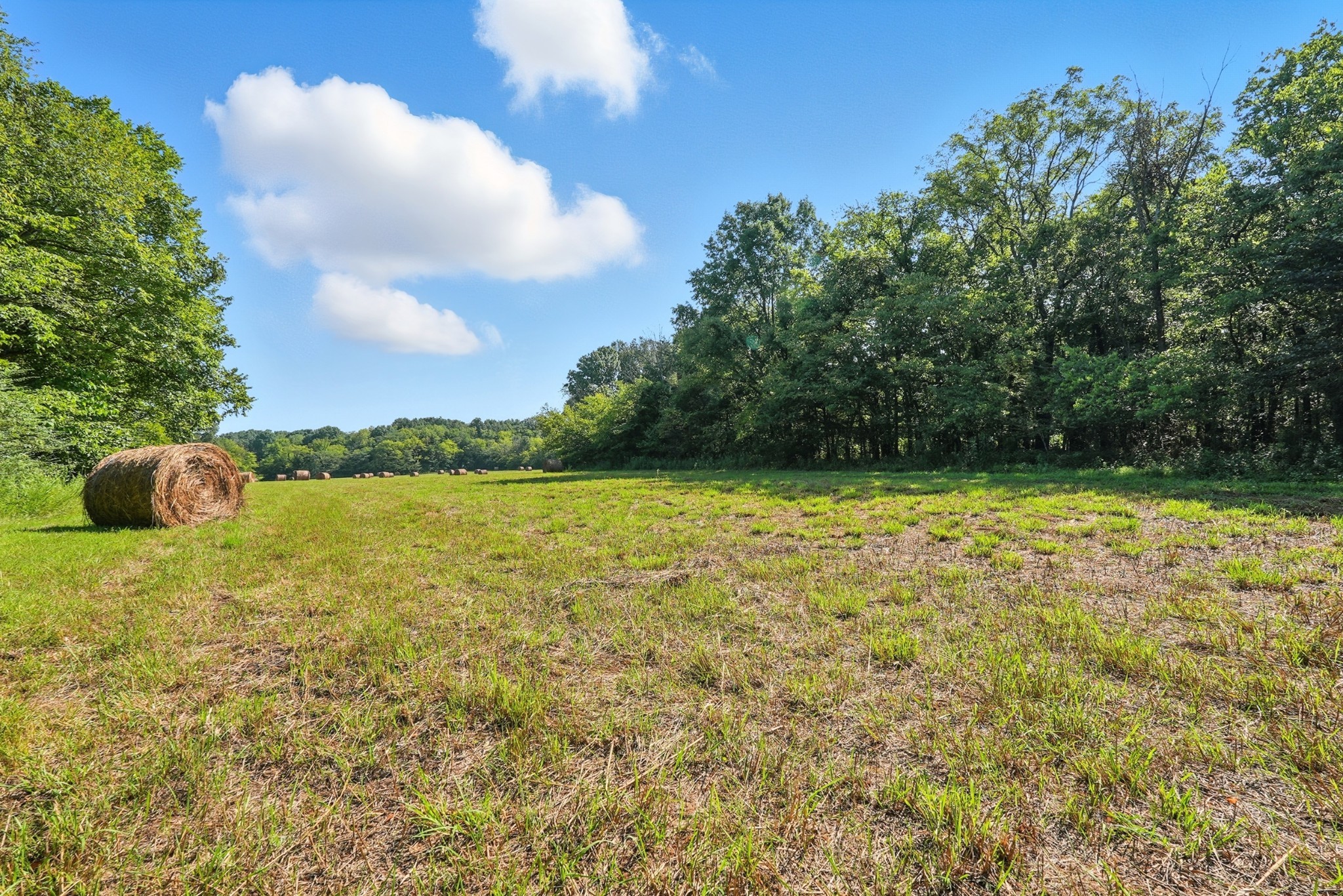 790 Squire Hall Road Bell Buckle TN 37020