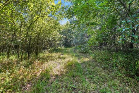 790 Squire Hall Road Bell Buckle TN 37020