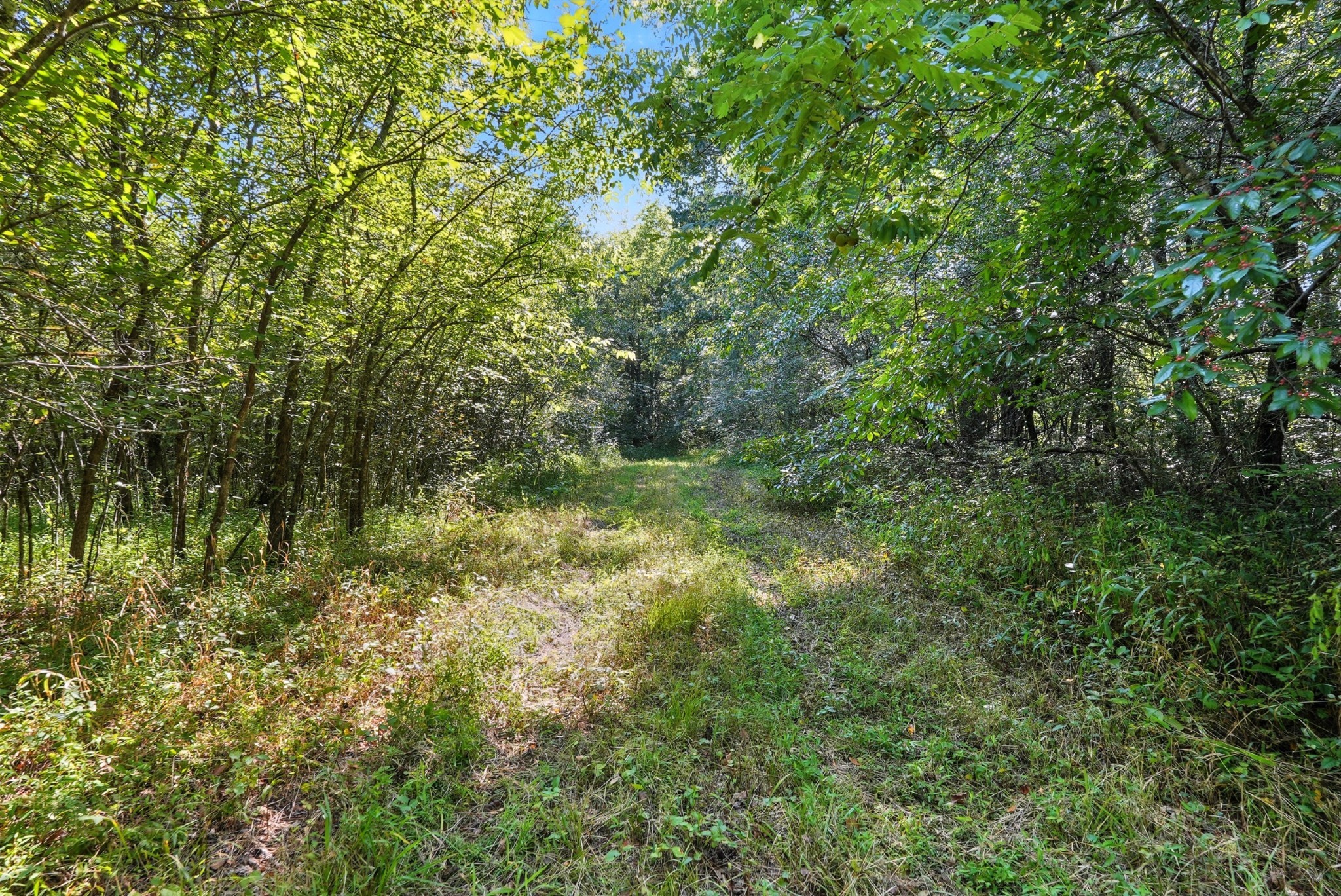 790 Squire Hall Road Bell Buckle TN 37020