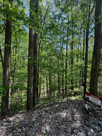 0 Lola Drive Smithville TN 37166