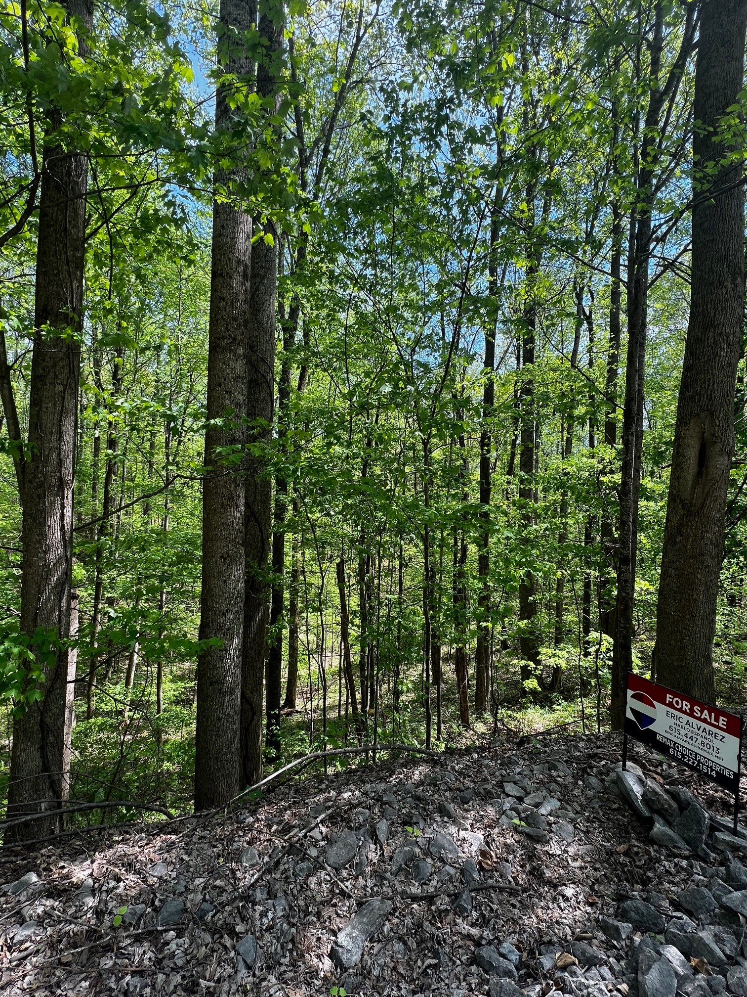 0 Lola Drive Smithville TN 37166