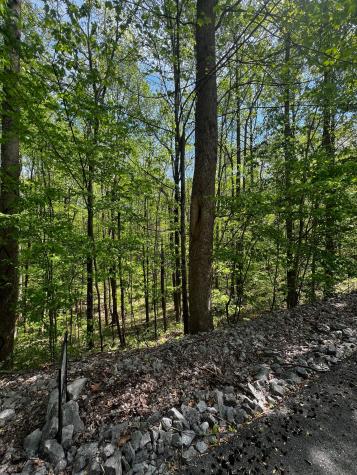 0 Lola Drive Smithville TN 37166