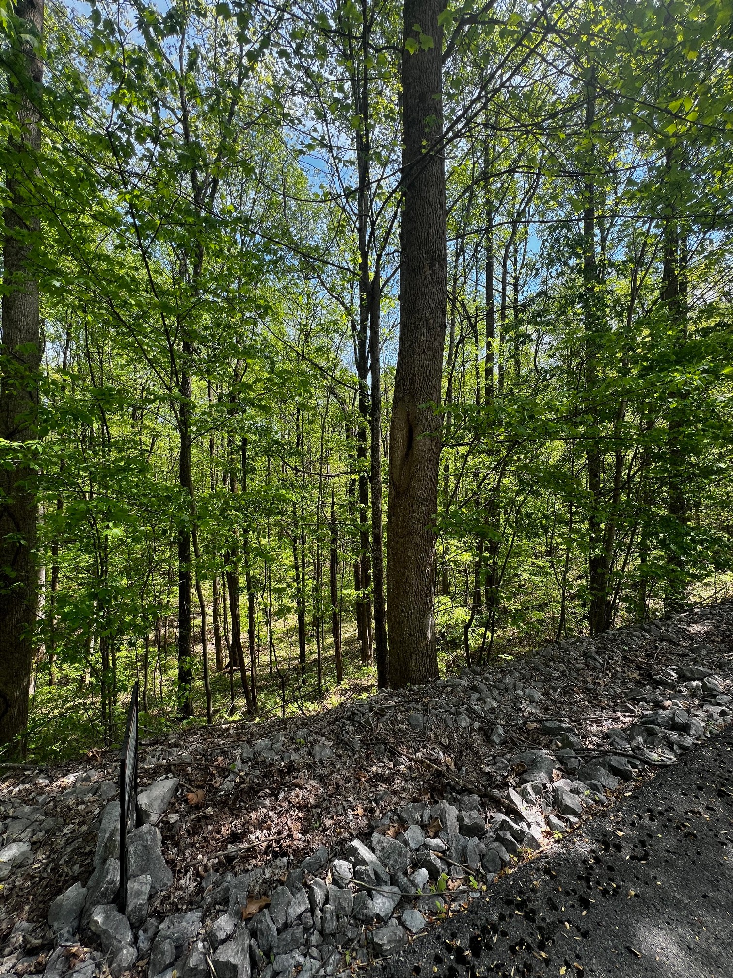 0 Lola Drive Smithville TN 37166