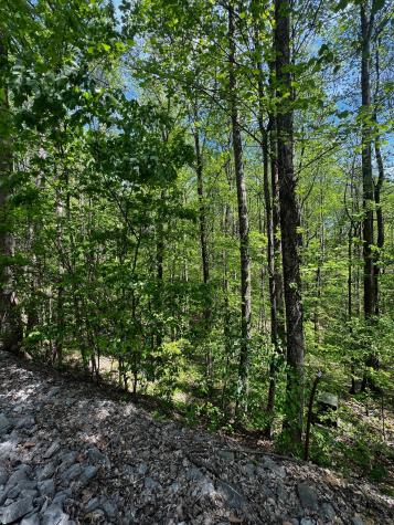 0 Lola Drive Smithville TN 37166