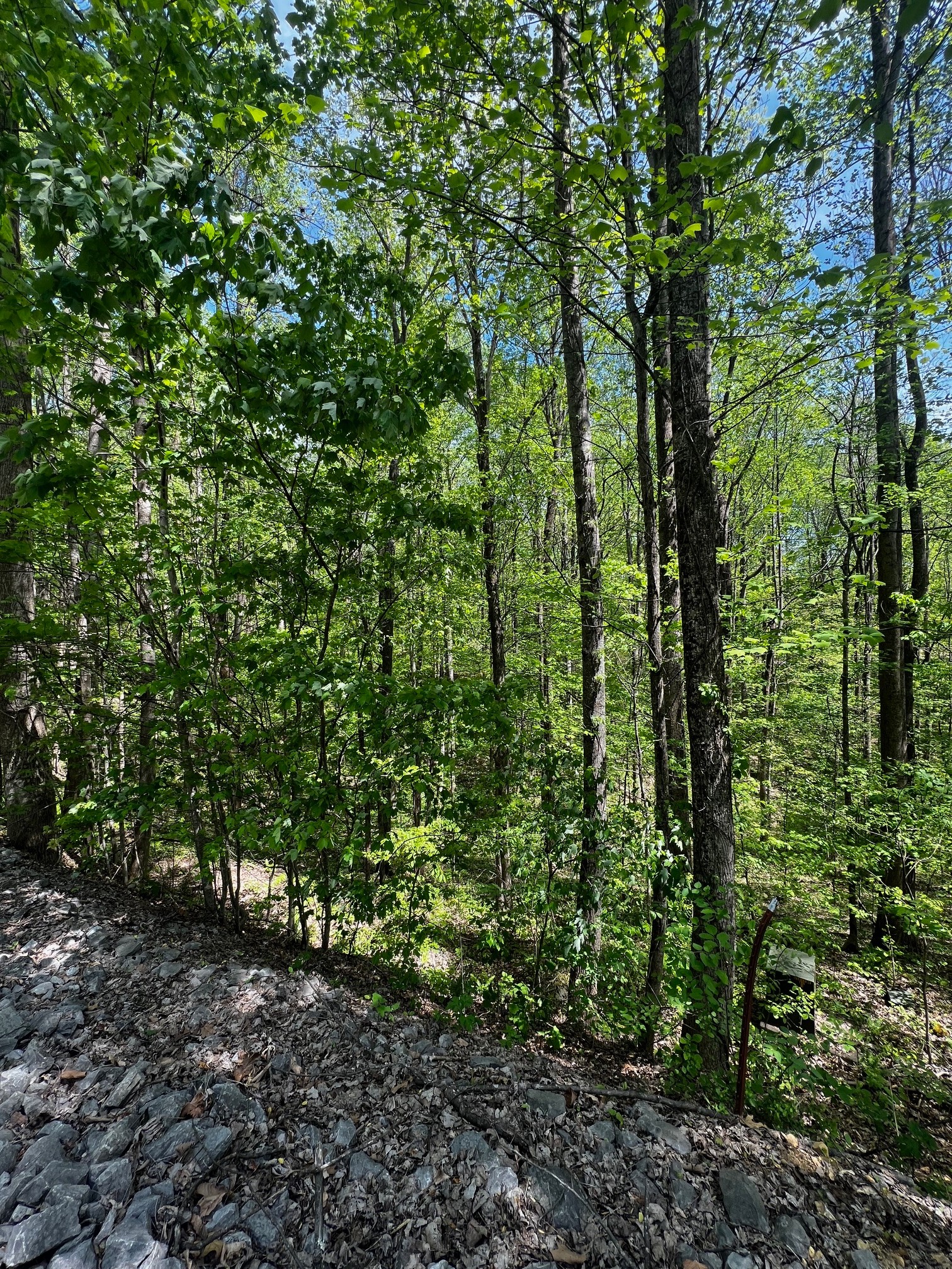 0 Lola Drive Smithville TN 37166