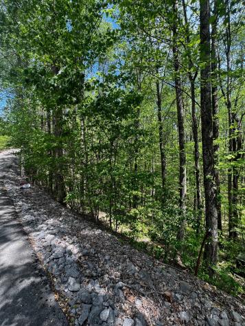 0 Lola Drive Smithville TN 37166