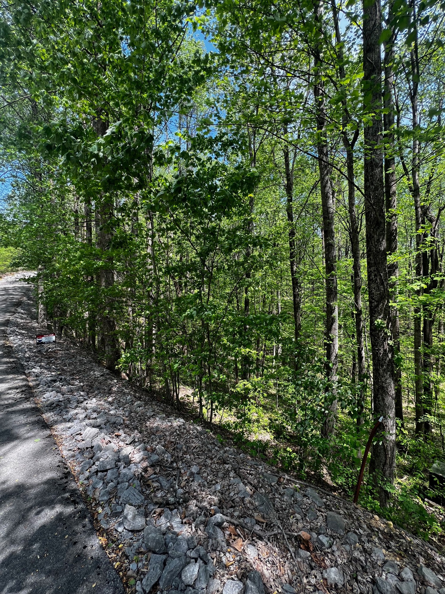 0 Lola Drive Smithville TN 37166