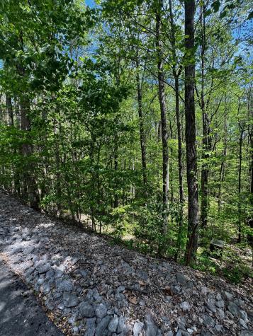 0 Lola Drive Smithville TN 37166