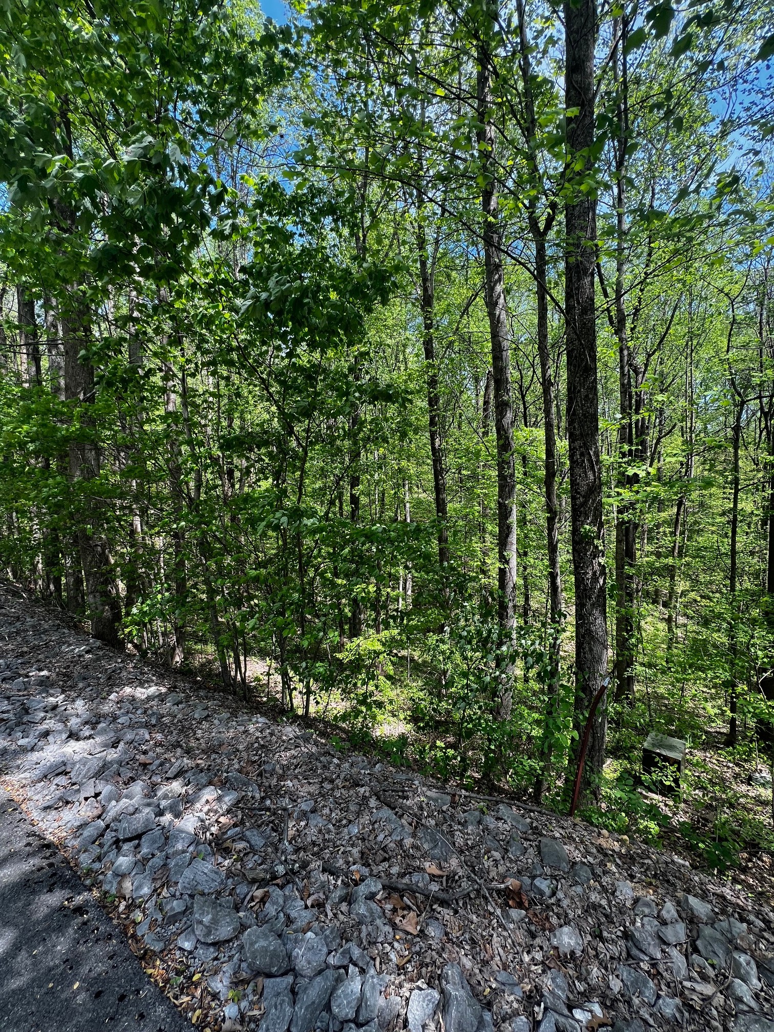0 Lola Drive Smithville TN 37166