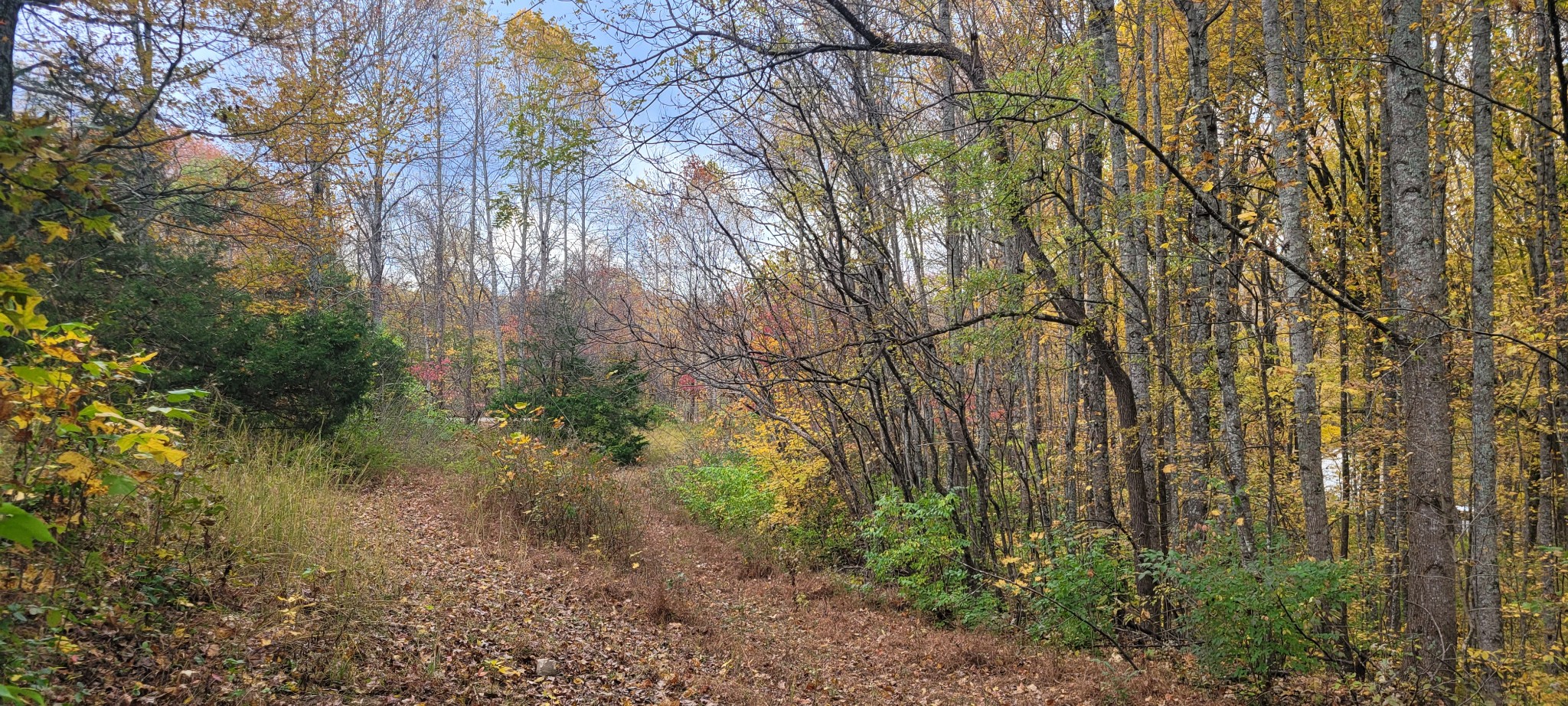 1 Sugar Ridge Road Spring Hill TN 37174