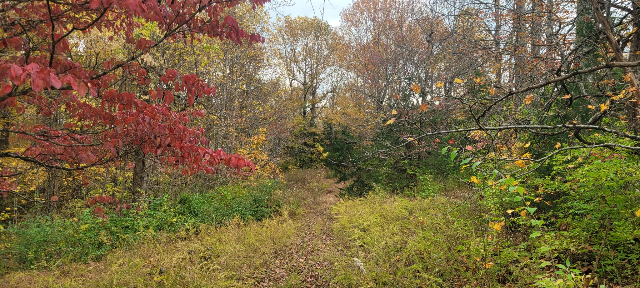 1 Sugar Ridge Road Spring Hill TN 37174