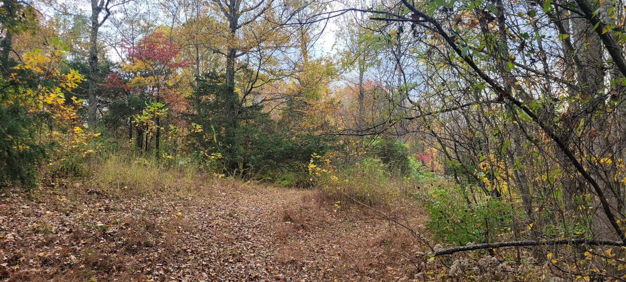 1 Sugar Ridge Road Spring Hill TN 37174
