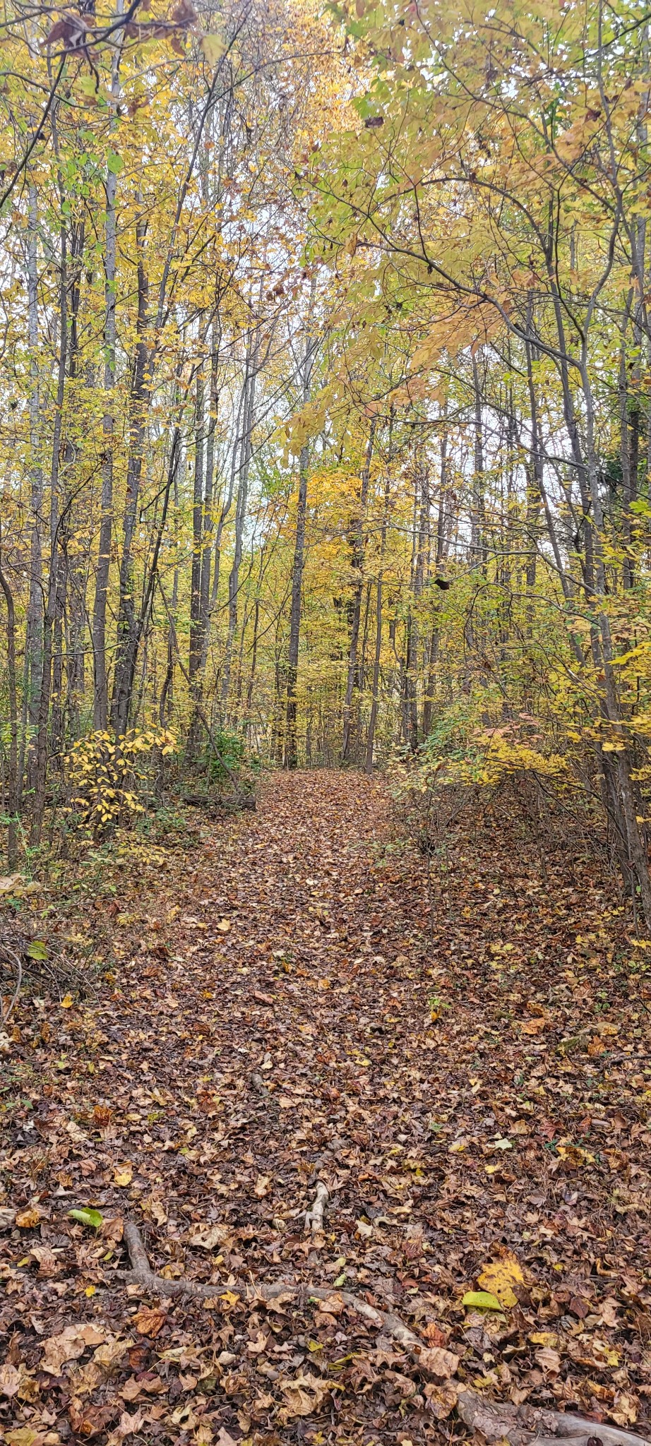 1 Sugar Ridge Road Spring Hill TN 37174