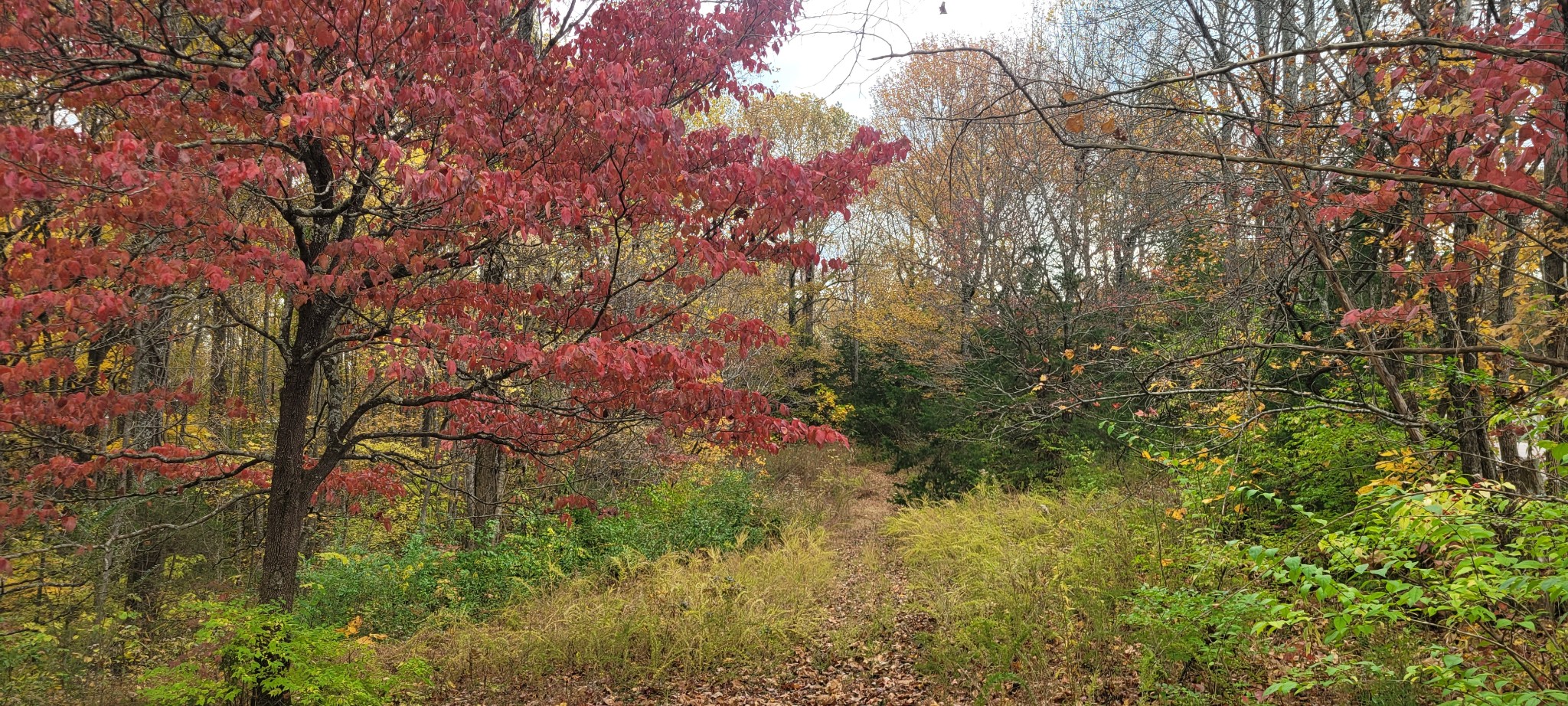 1 Sugar Ridge Road Spring Hill TN 37174
