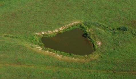 0 Neal Road Belvidere TN 37306