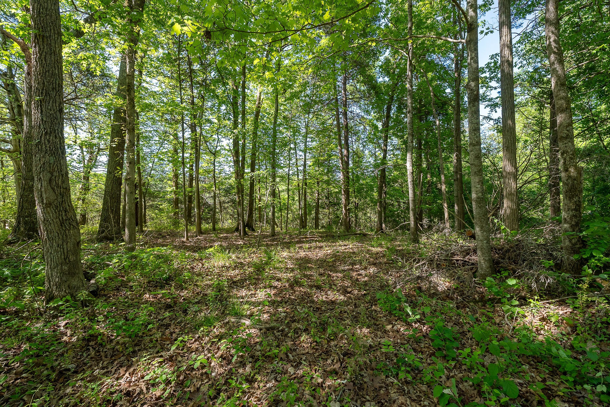 0 Walker Road Rock Island TN 38581