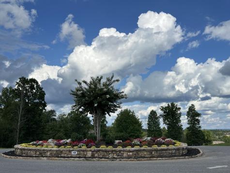 81 Crockett Loop Jasper TN 37347