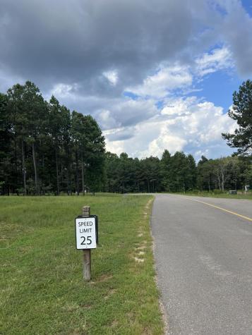 81 Crockett Loop Jasper TN 37347