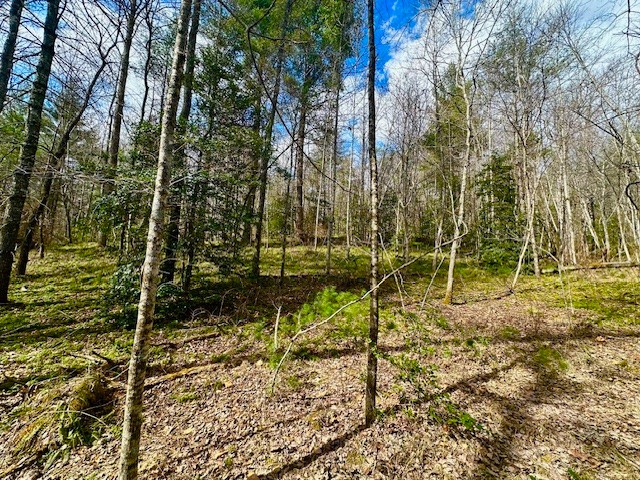 144 Gunter Place Road Sunbright TN 37872
