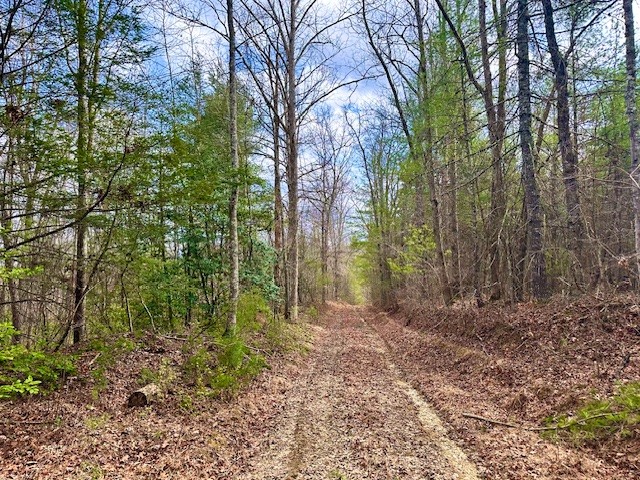 144 Gunter Place Road Sunbright TN 37872