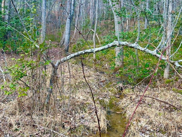 144 Gunter Place Road Sunbright TN 37872