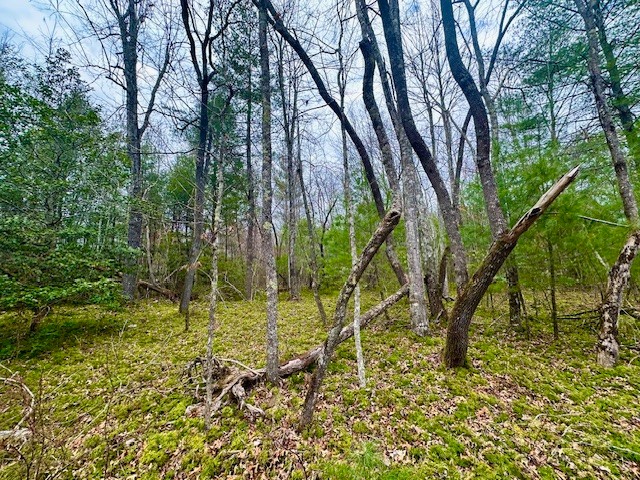 144 Gunter Place Road Sunbright TN 37872