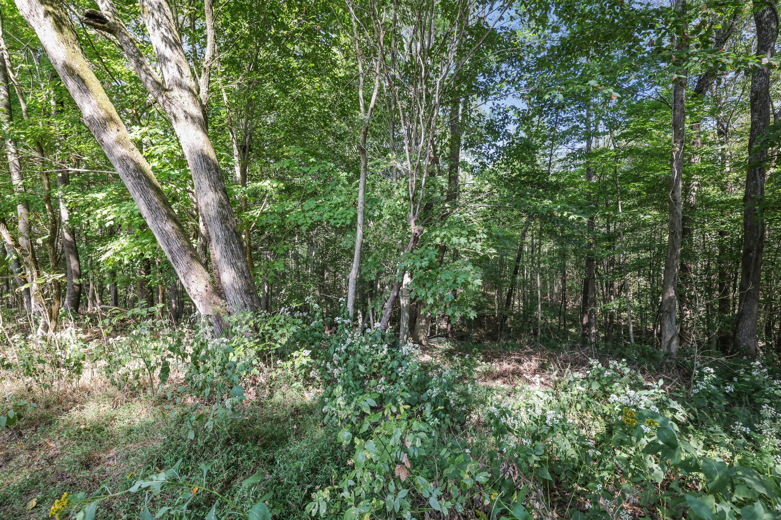 634 Bennett Hill Road Red Boiling Springs TN 37150