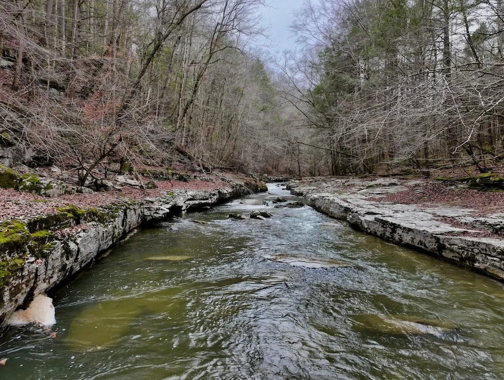0 Hollow Creek Lane Clarkrange TN 38553