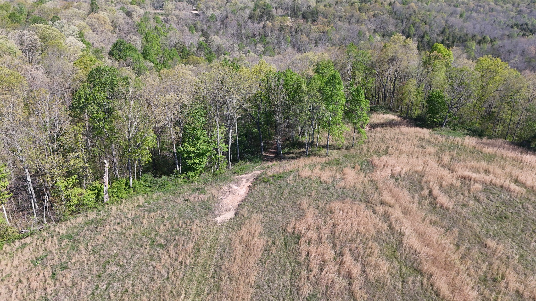 0 Hollow Creek Lane Clarkrange TN 38553