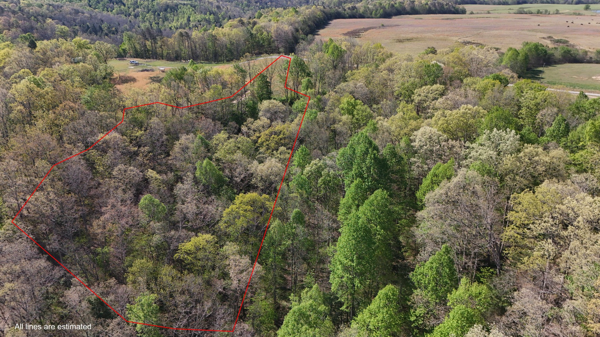 0 Hollow Creek Lane Clarkrange TN 38553