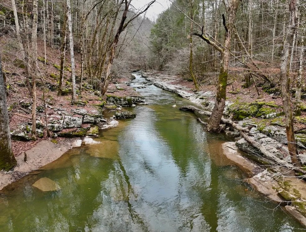 0 Hollow Creek Lane Clarkrange TN 38553