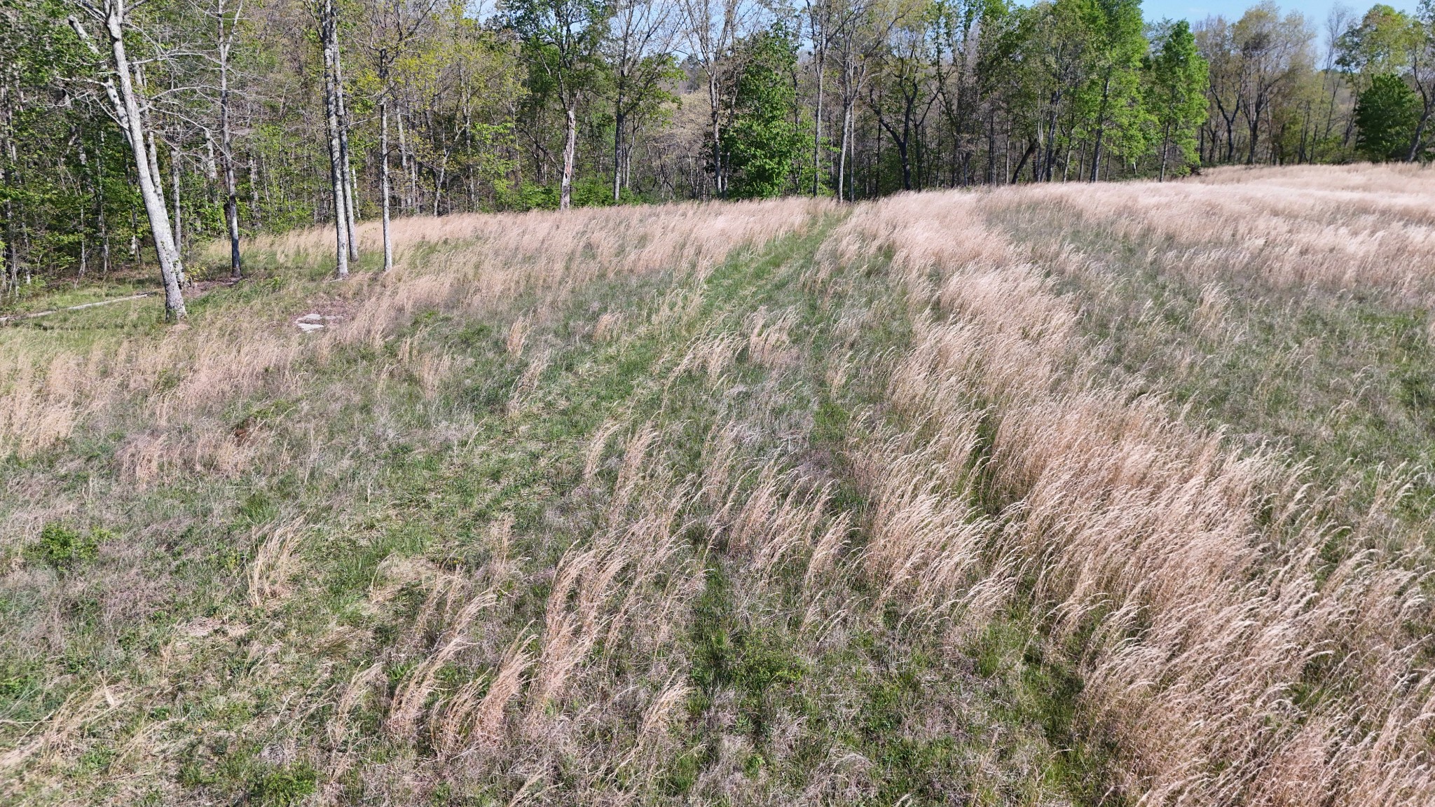 0 Hollow Creek Lane Clarkrange TN 38553