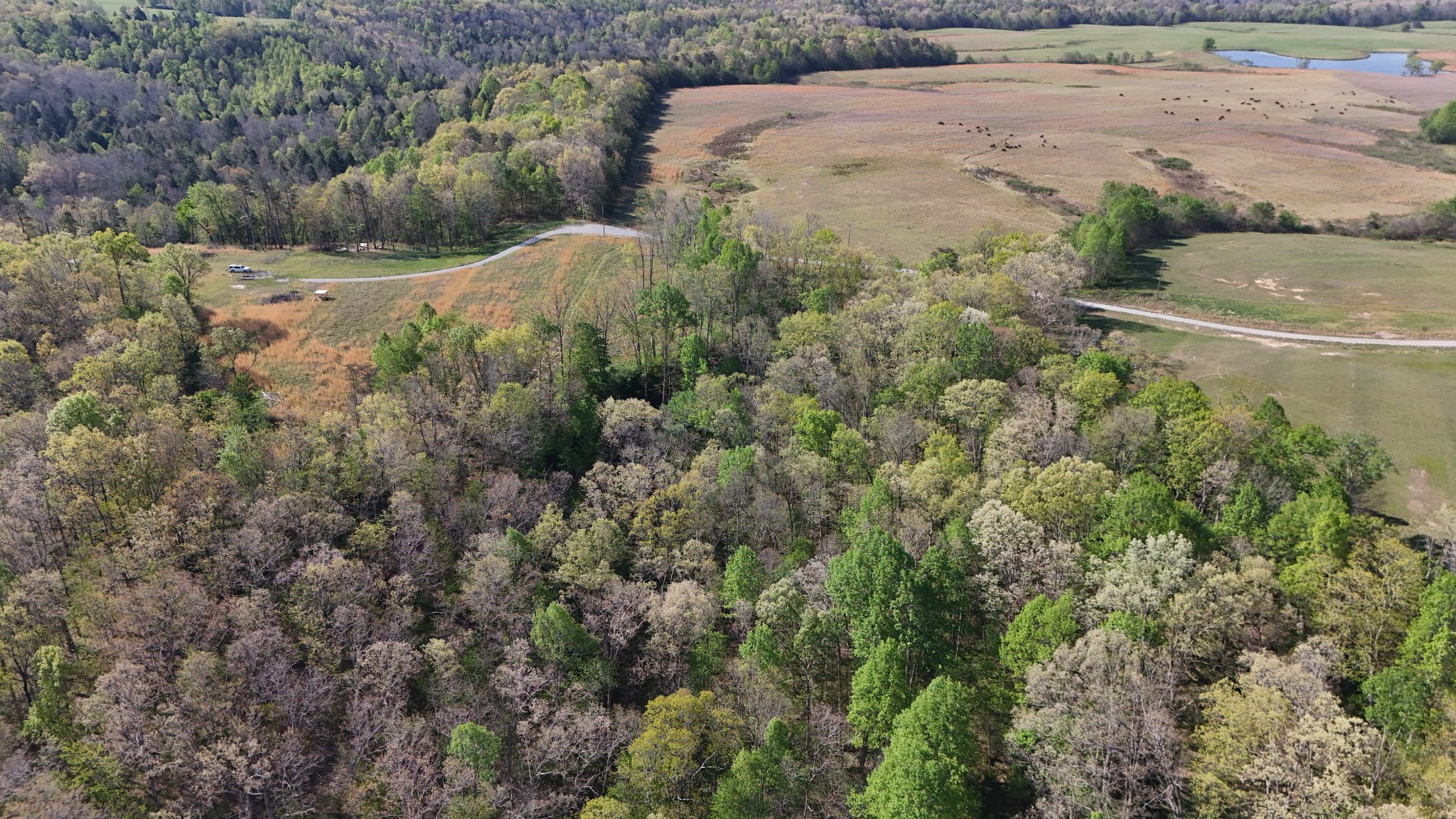 0 Hollow Creek Lane Clarkrange TN 38553
