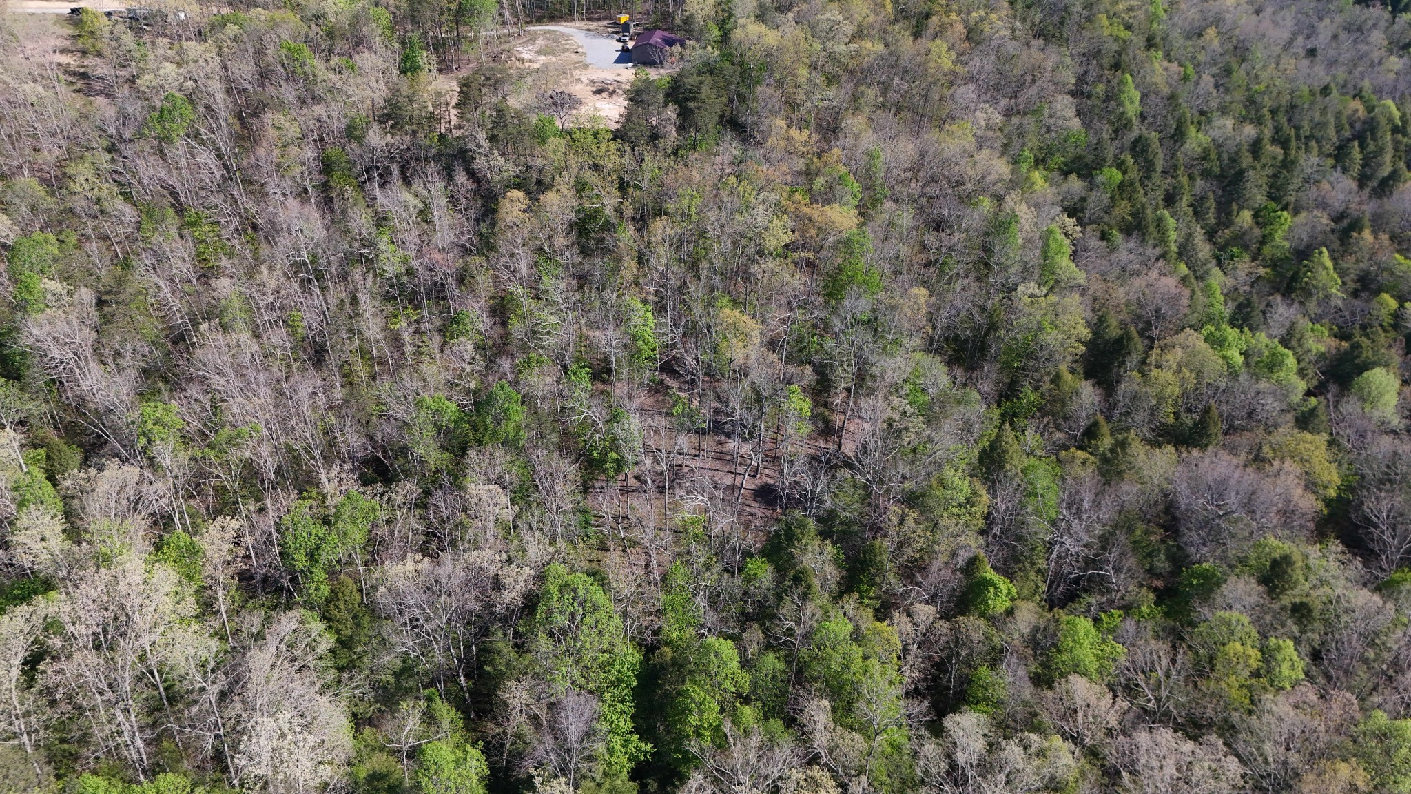 0 Hollow Creek Lane Clarkrange TN 38553