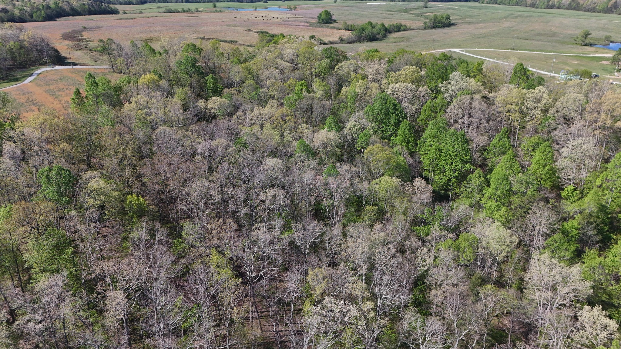 0 Hollow Creek Lane Clarkrange TN 38553