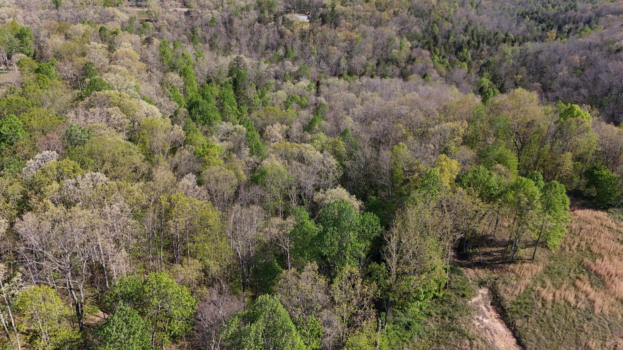0 Hollow Creek Lane Clarkrange TN 38553