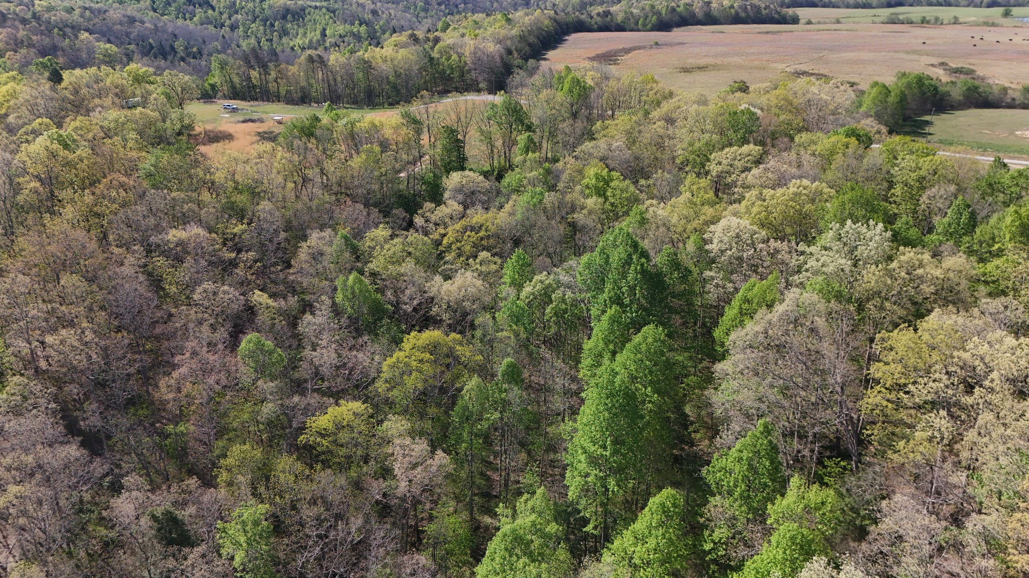 0 Hollow Creek Lane Clarkrange TN 38553