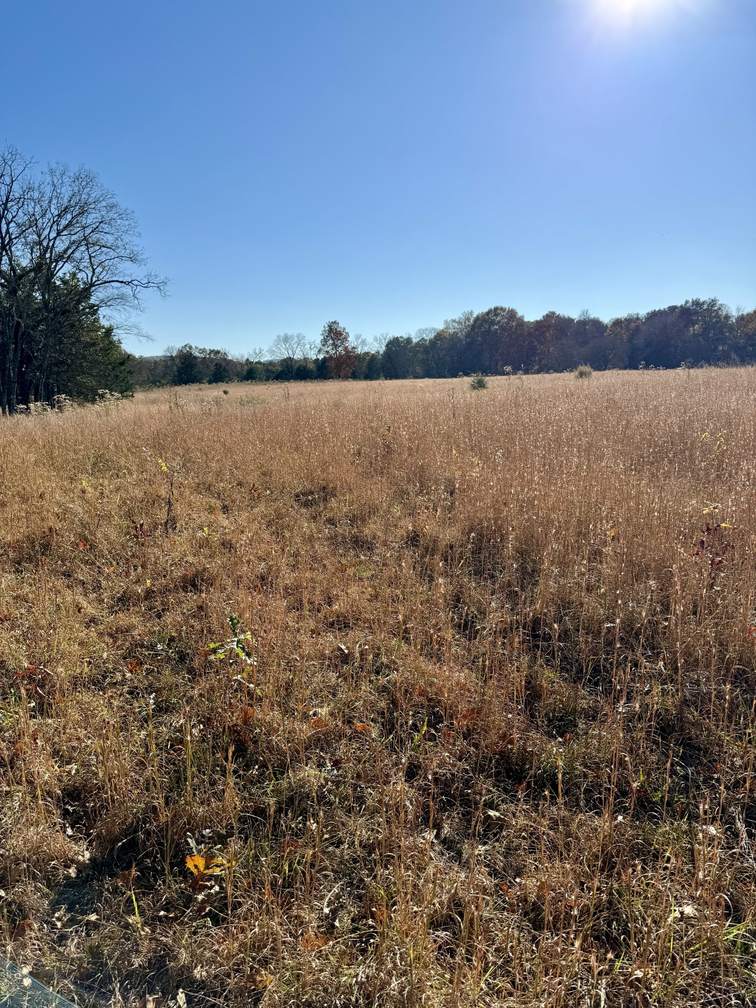 7492 Old Shores Road Murfreesboro TN 37128