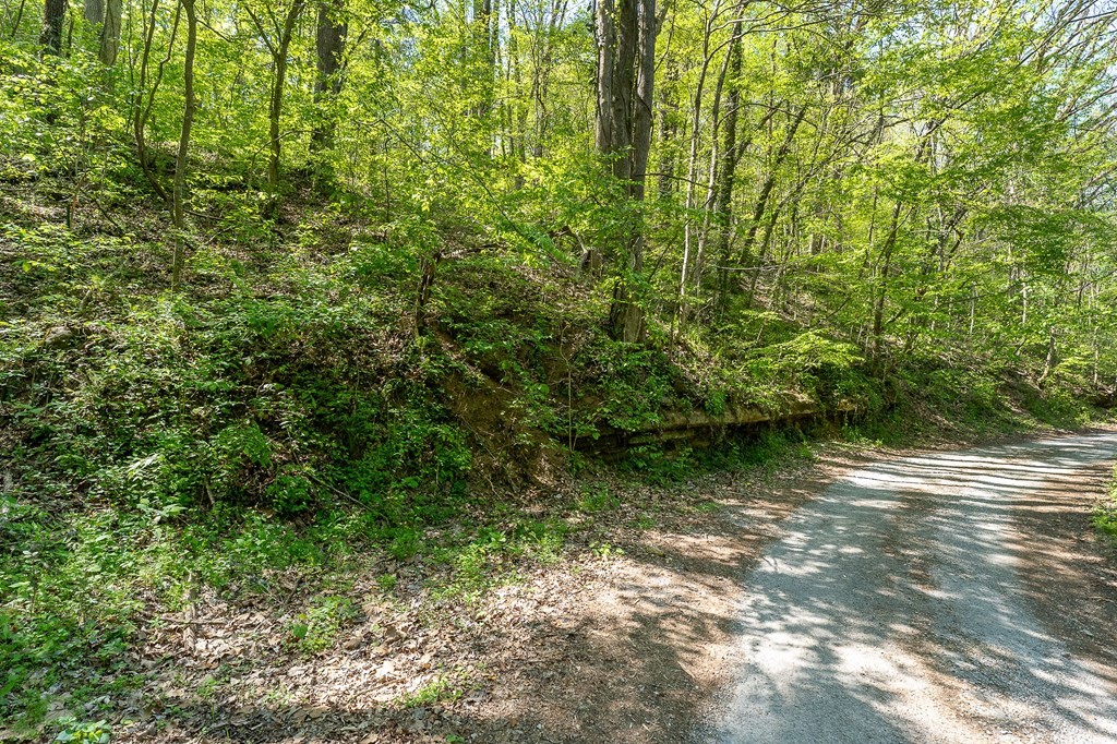 588 Austin Bottom Baxter TN 38544