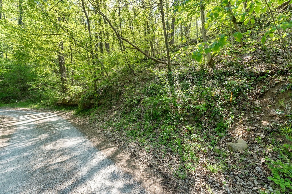 588 Austin Bottom Baxter TN 38544