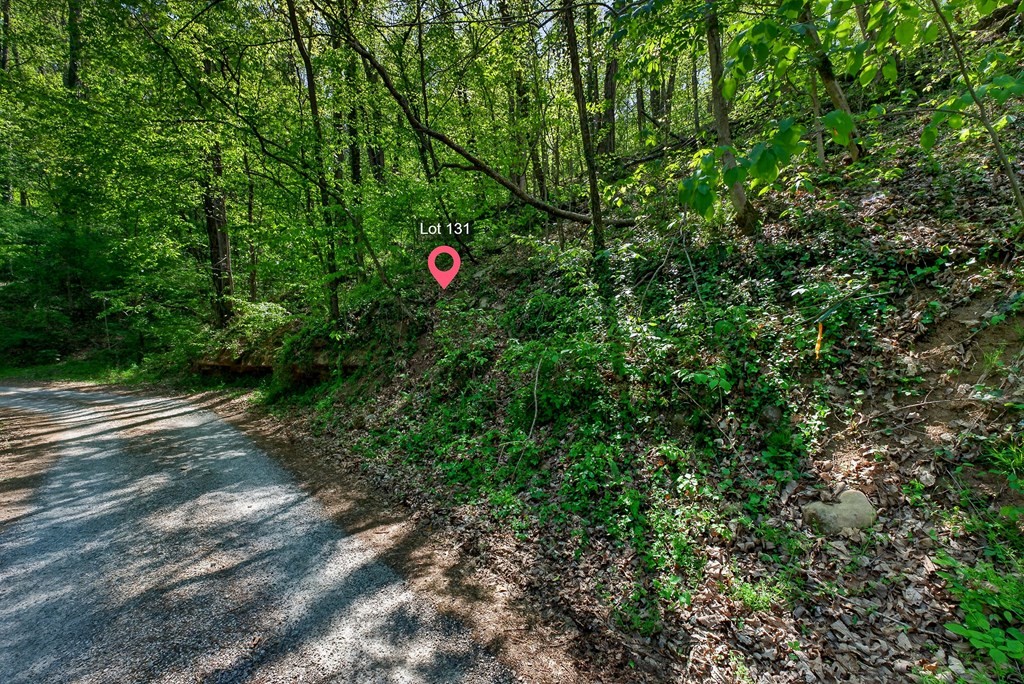 588 Austin Bottom Baxter TN 38544