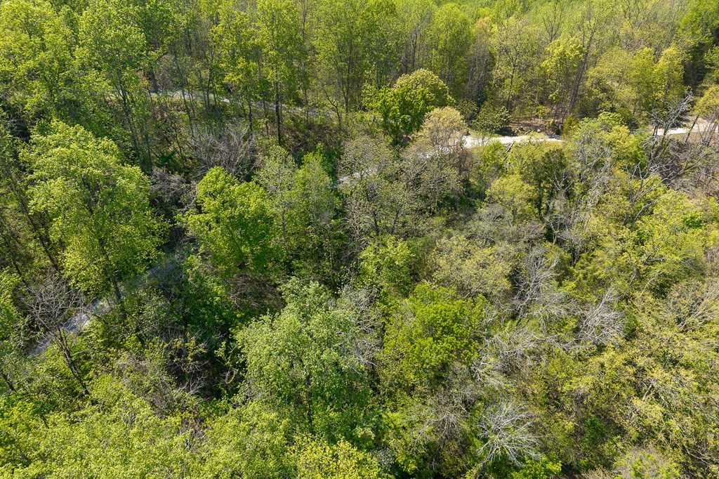 588 Austin Bottom Baxter TN 38544