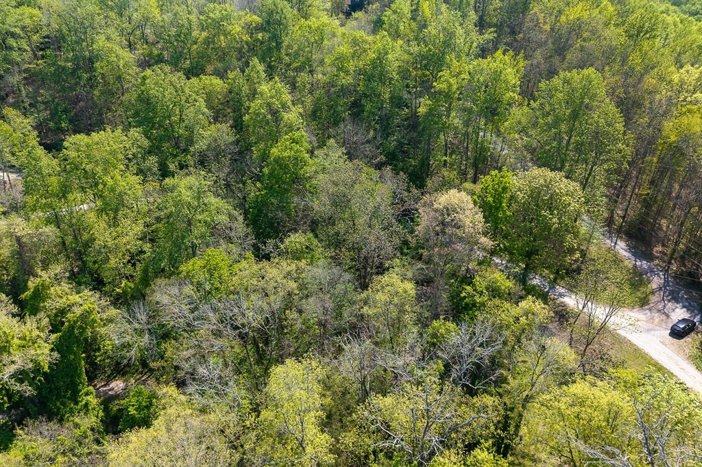 588 Austin Bottom Baxter TN 38544