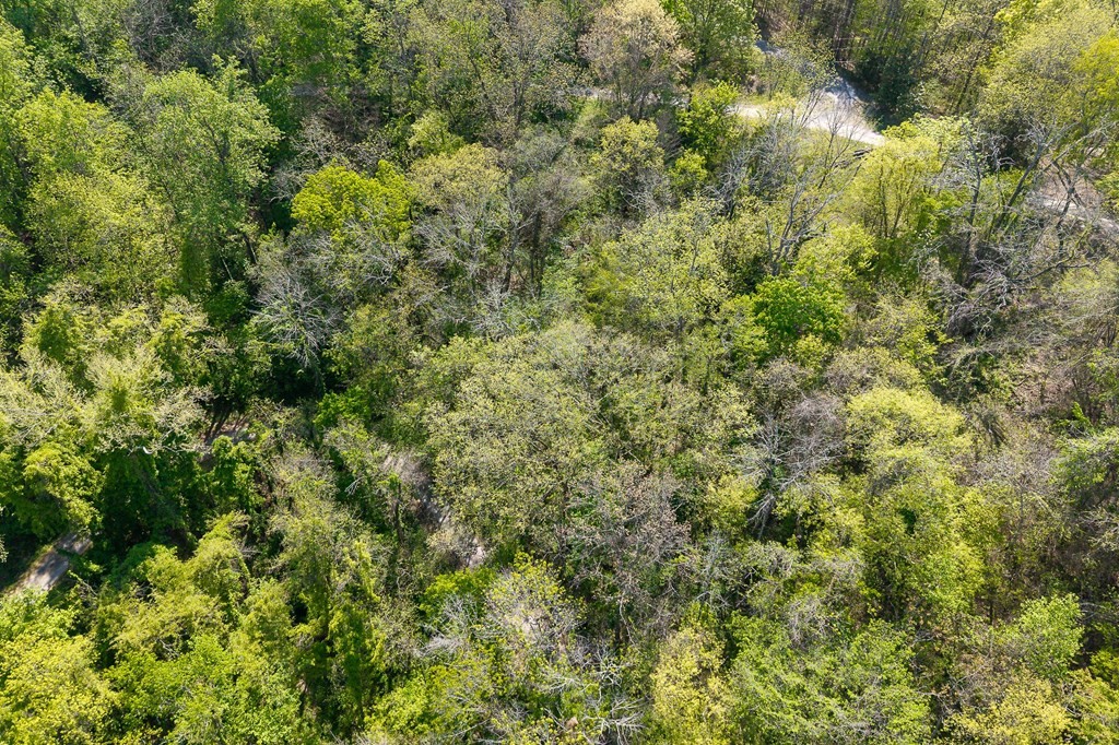 588 Austin Bottom Baxter TN 38544