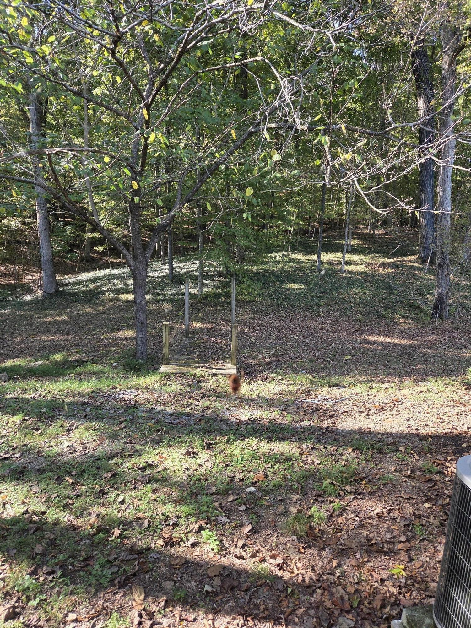 134 Canary Drive, NW Cleveland TN 37312