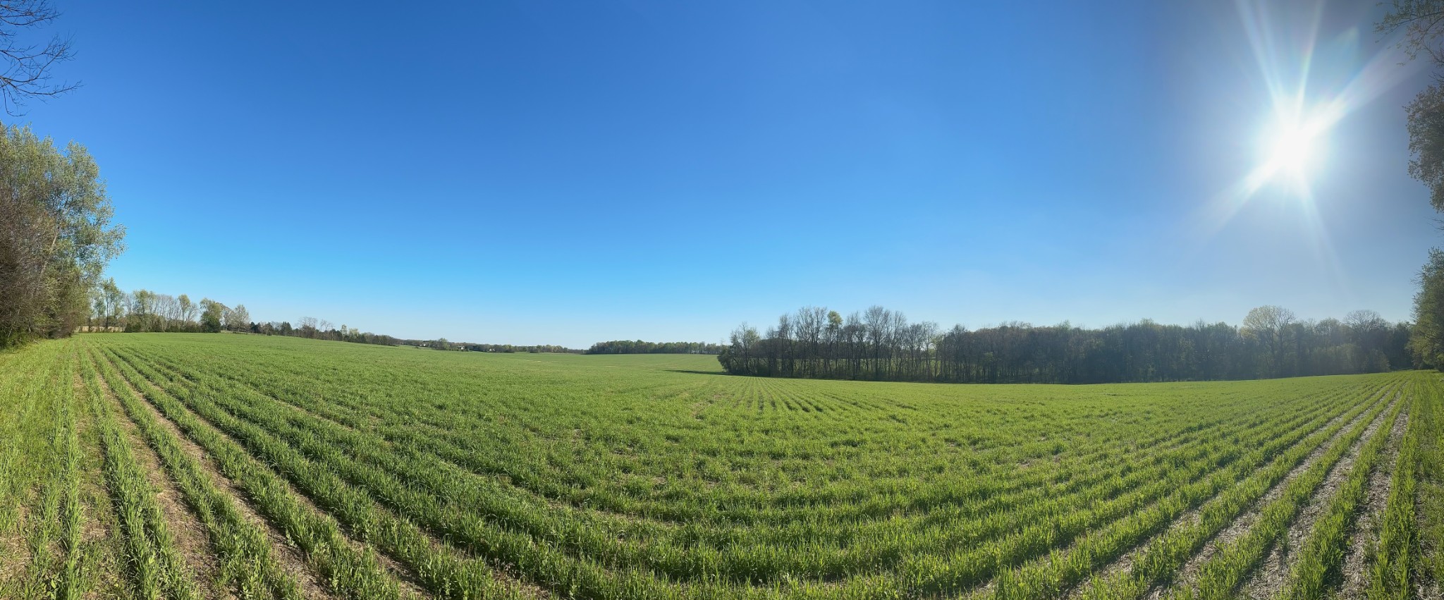 4838 Highway 31w Cottontown TN 37048