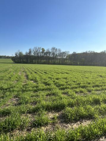 4838 Highway 31w Cottontown TN 37048